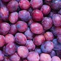 Plum