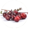 Cranberry Juice Powder. 