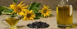 Sunflower Oil