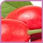 Wild Rosehip Extract